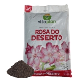 Terra Especial Rosa do Deserto Vitaplan 2kg